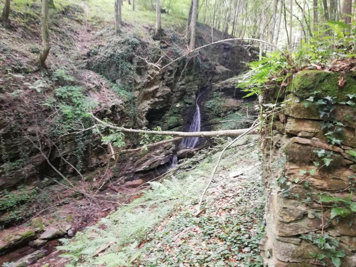 Ferienhaus Grabenhansl ستوبيبرغ المظهر الخارجي الصورة