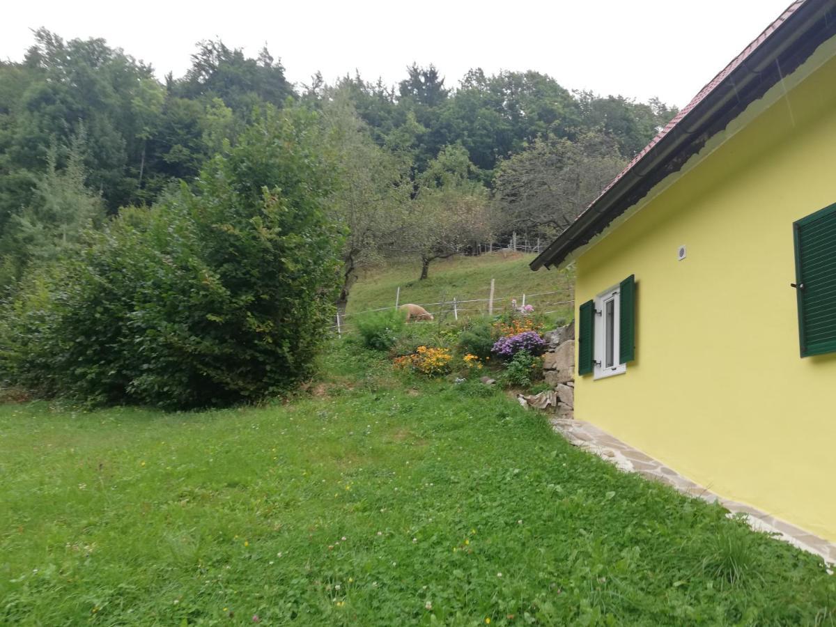 Ferienhaus Grabenhansl ستوبيبرغ المظهر الخارجي الصورة