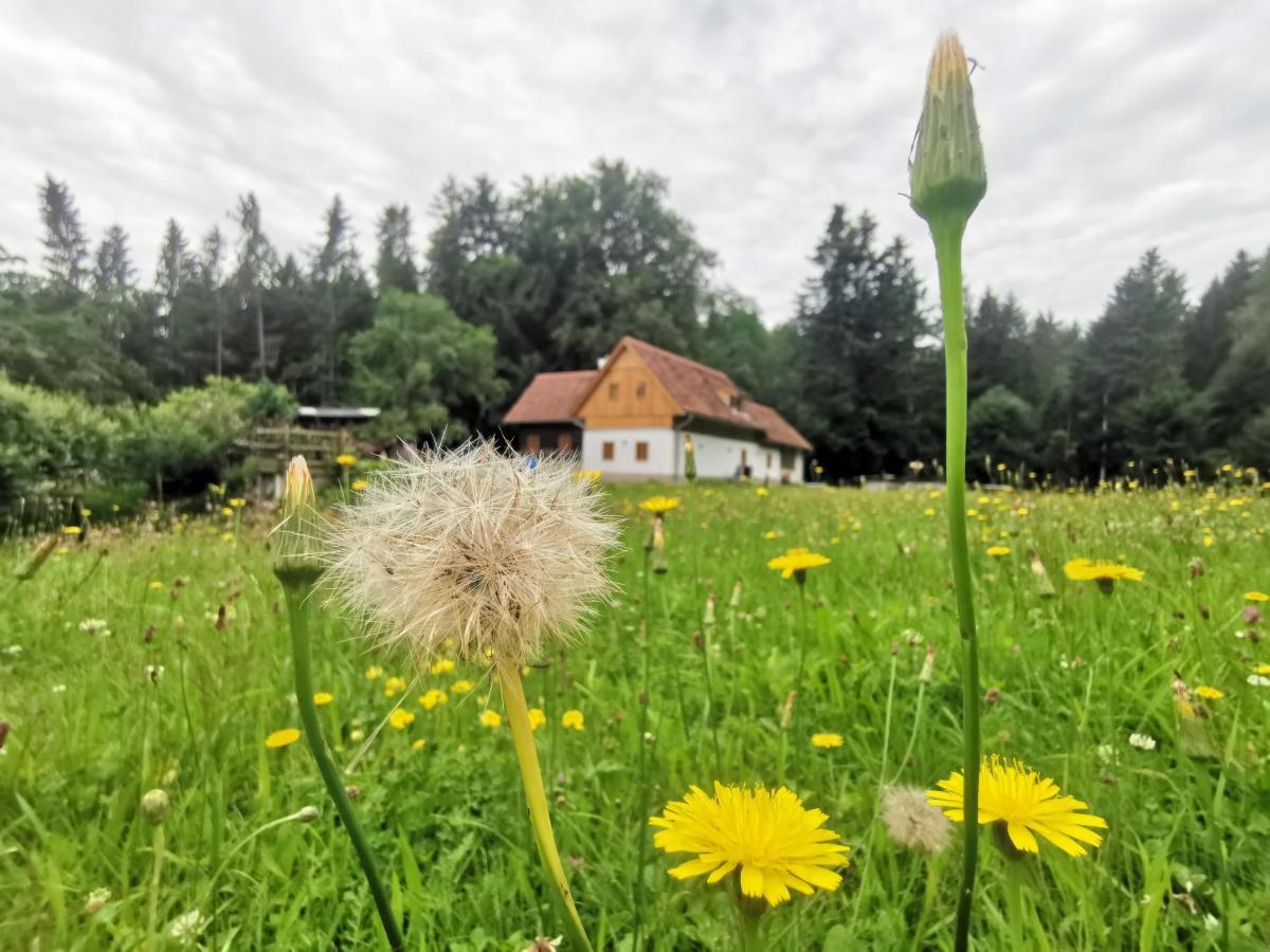 Ferienhaus Grabenhansl ستوبيبرغ المظهر الخارجي الصورة