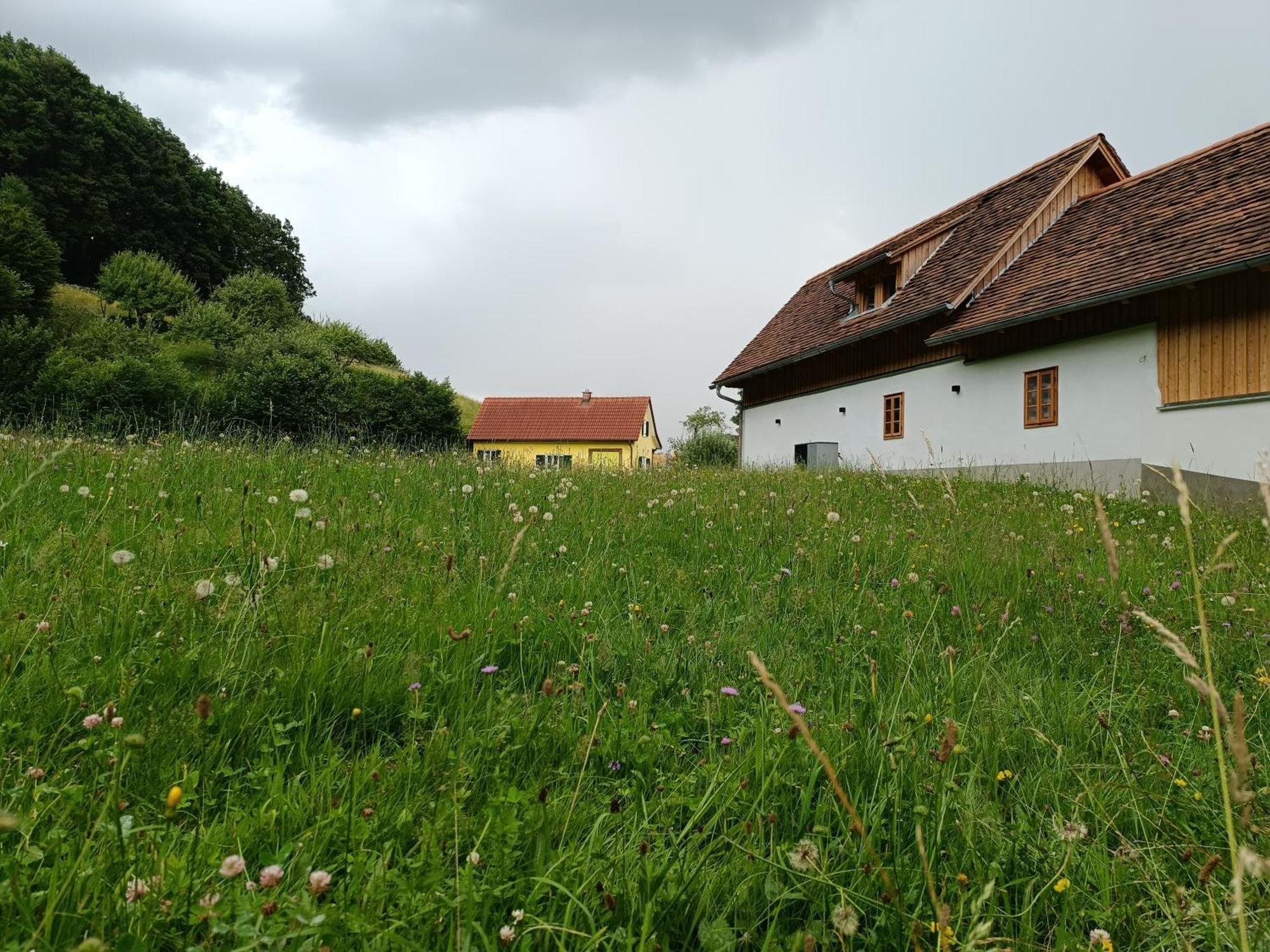 Ferienhaus Grabenhansl ستوبيبرغ المظهر الخارجي الصورة